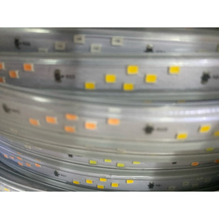Dây Led 2835 nháy đuổi một ,hai,ba hàng bóng (combo 10m cả đk nháy)