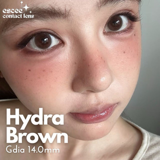  Lens kính áp tròng FB-284 HYDRA BROWN - nâu lạnh trong veo không viền tự nhiên 14.0mm độ cận 0 - 7 độ   Hydra Brown   