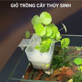  Cốc Trồng Cây Treo Thành Bể Mica Nhựa Giỏ Trồng Cây Thủy Sinh - Trang Trí Hồ Cá 