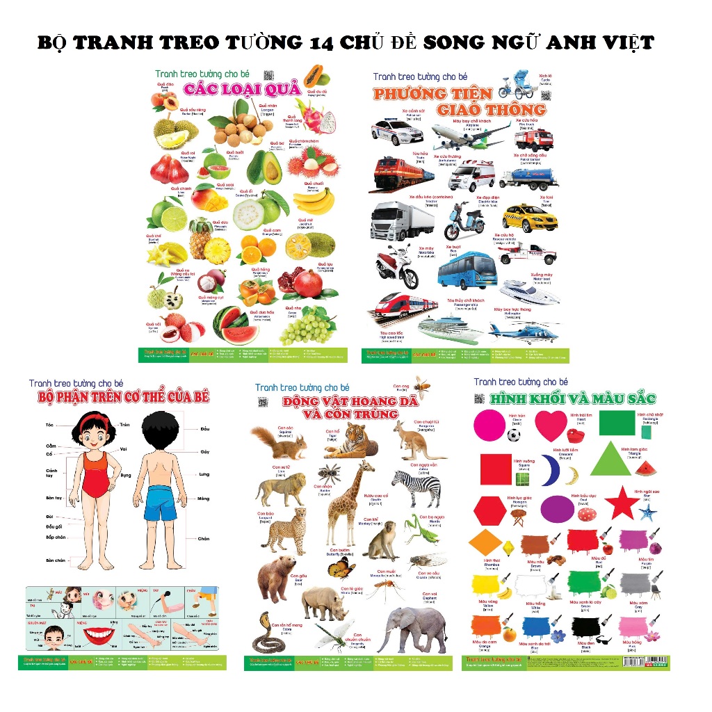 Sách - Tranh Treo Tường 14 Chủ Đề Cho Bé - Giúp Bé Khám Phá Thế Giới Và Các Sự Vật Quanh Mình (Bộ 12 Trang - 14 Chủ Đề)