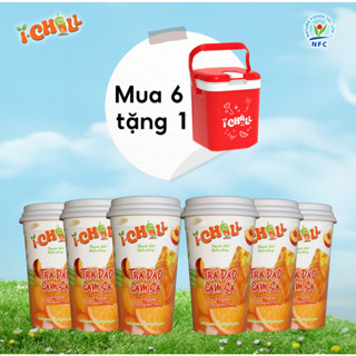 [Combo6tặng1Gift] iChill Trà Đào Cam Sả Nước Thanh Nhiệt Sấy Thăng Hoa_ iChill topping Từ Trái Cây Tươi 30g