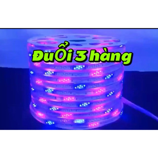 Dây Led 2835 nháy đuổi một ,hai,ba hàng bóng (combo 10m cả đk nháy)