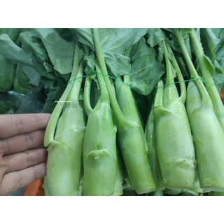 0,5gr - Hạt Giống Cải Mù Tạt Phương Nam