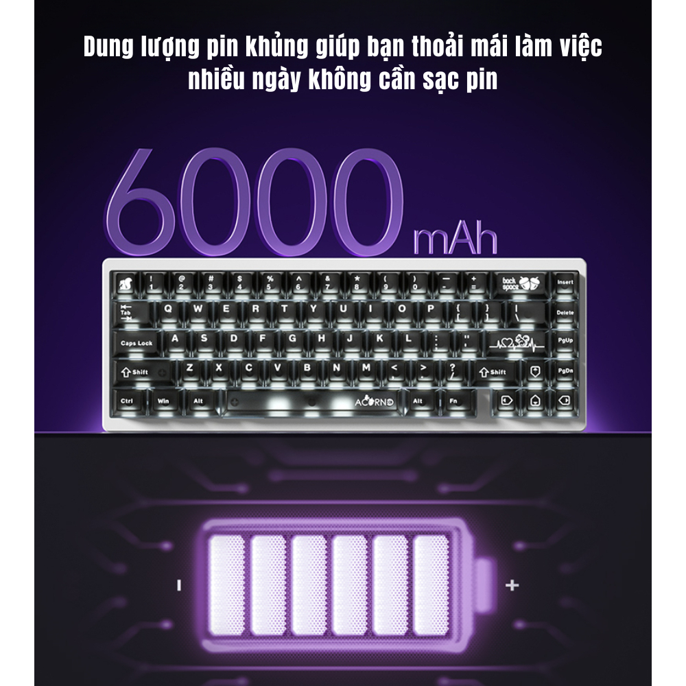 Bàn phím cơ 65% WEIKAV NUT65 – Khung nhôm CNC, PCB 1.6mm Non-Flex, 3 Mode, Gasket Mount, LED RGB, VIA APP, Hotswap | BigBuy360 - bigbuy360.vn
