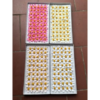 1 hộp 50 bông hoa sáp violet