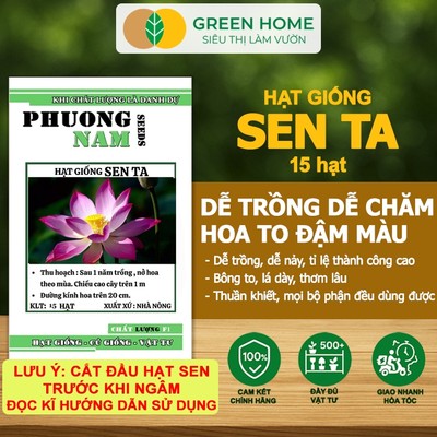 Hạt Giống Hoa Sen Ta GreenHome, Gói 20 Gram, Dễ Trồng, Nảy Mầm Tốt, Bông To, Lá Dày H10