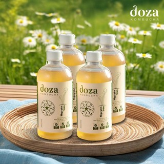 Trà Kombucha Chính Hãng DOZA Nước Cốt Không Đường Hỗ Trợ Tiêu Hóa, Trà Lên Men Kombucha Giảm Cân Người Dạ Dày Và Tập Gym