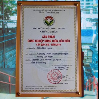 GIẤM MƠ [ KIM NGÂN ] ĐẠT CHUẨN OCOP
