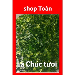 Lá chanh thái 0,5kg. Lá chúc tươi. Lá chanh chúc, lá chanh số 8. hàng tươi mới.