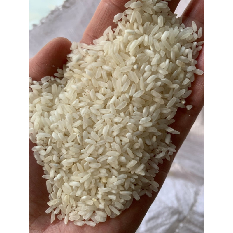 Gạo 504 – Nở xốp, dễ ăn – Bao 10kg