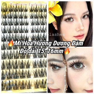 LÔNG MI HOA HƯƠNG DƯƠNG ĐẬM ( KHỒNG SẴN KEO ), MI ĐẬM DÀI 15-16MM