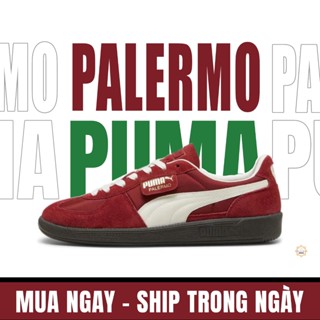  Giày Thể Thao PM Palermo Leather Red Màu Đỏ Mận Da Lộn Clever Man Store 