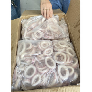 [GIAO HỎA TỐC HCM] - MỰC VÒNG TÚI 1KG NET 5 - 6