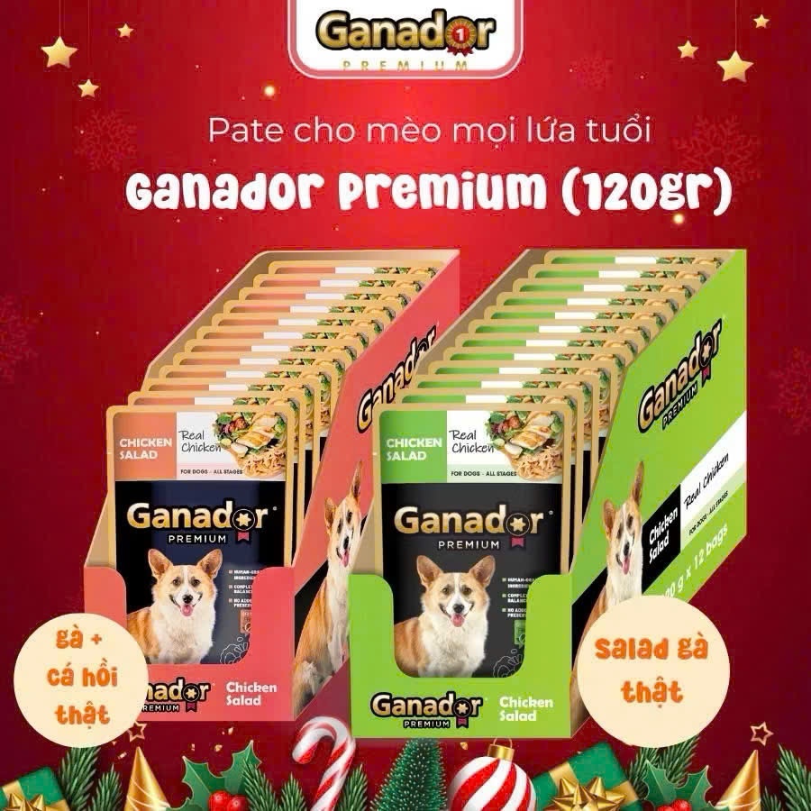 Pate cho chó dạng xốt Ganador Premium 120g