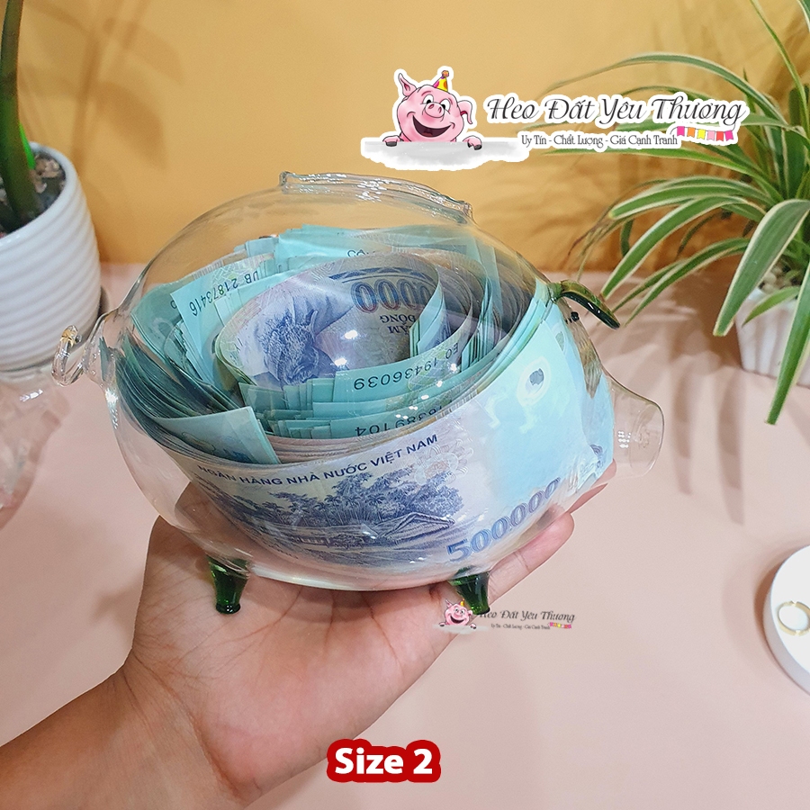 Lợn thủy tinh tiết kiệm size 2 và size 3