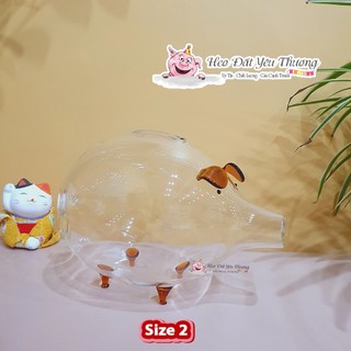 Lợn thủy tinh tiết kiệm size 2 và size 3