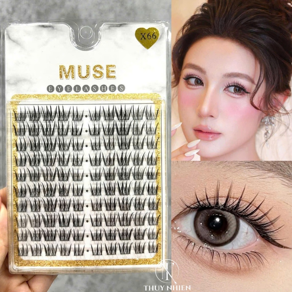 Lông mi Muse X66 - Lông mi rời gắn từng cụm