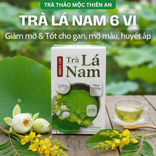 Trà Lá Nam 6 Vị Green Tea Hộp 30 Túi Lọc Hỗ Trợ Giảm Cân, Mát Gan, Thanh Lọc Cơ Thể Chống Lão Hóa