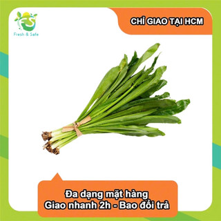 [Giao Hỏa Tốc HCM] Ngò gai - 50g