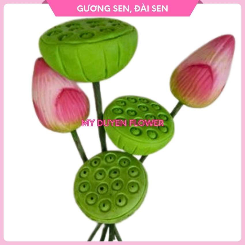 GƯƠNG SEN, ĐÀI SEN NGUYÊN LIỆU LÀM HOA