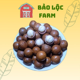  500g Hạt Macca Lâm Đồng sấy nứt vỏ hương vị tự nhiên. 