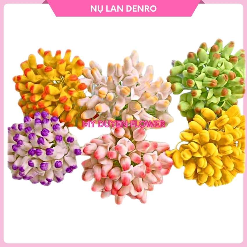 NỤ LAN DENRO ( 50 NỤ)