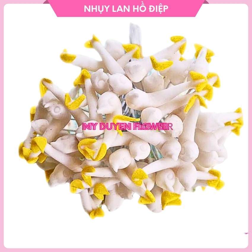 NHỤY LAN HỒ ĐIỆP