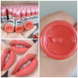 Mực Môi Phun Xăm Perma Blen Hữu Cơ Chính Hãng, Mực Phun Xăm Thẩm Mỹ Cao Cấp Chính Hãng