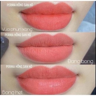 Mực Môi Phun Xăm Perma Blen Hữu Cơ Chính Hãng, Mực Phun Xăm Thẩm Mỹ Cao Cấp Chính Hãng