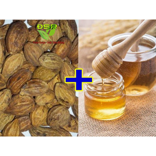 Kha Tử ( túi 100gr ) Khô Sạch  -  ( Giảm ho hiệu quả )