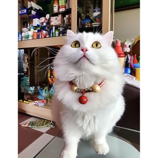 Vòng cổ cho mèo,chó có chuông