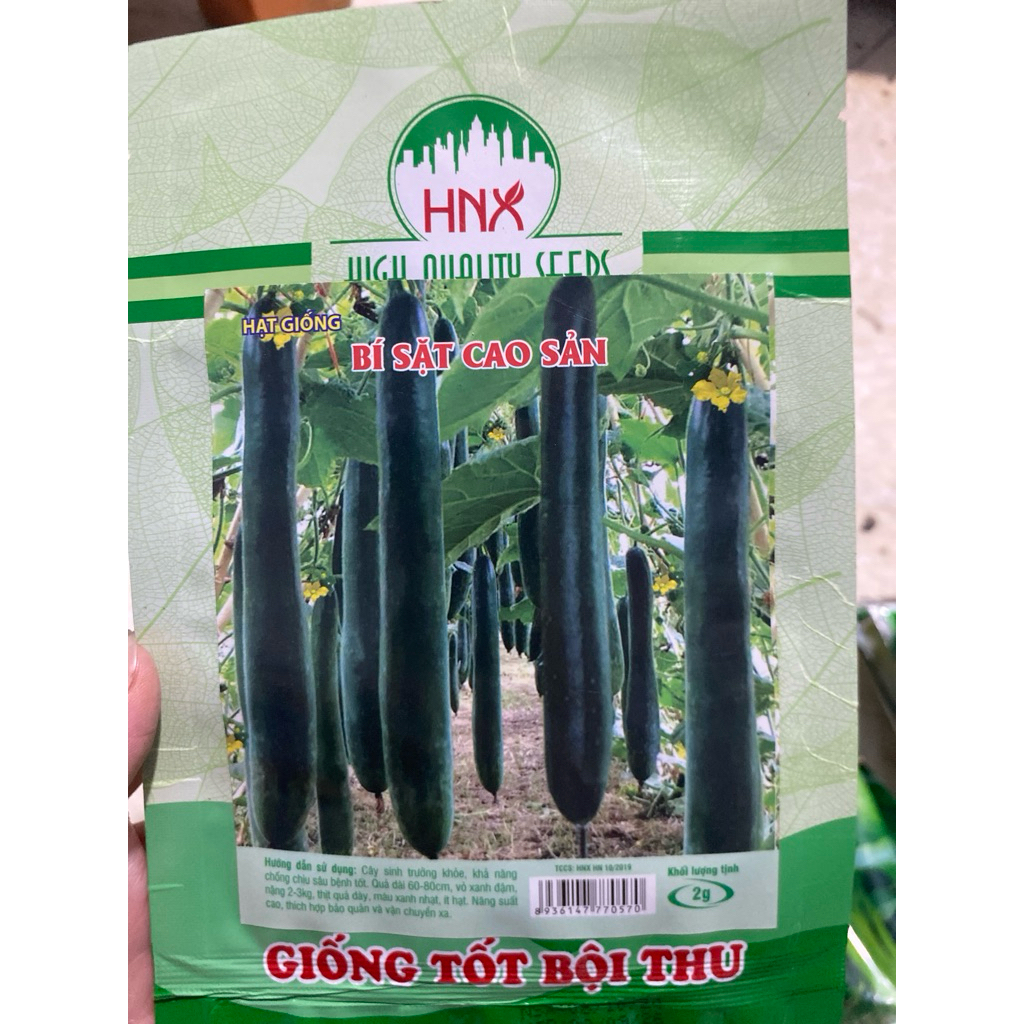 (Mã NSF02P125 giảm 25K) Bí Đao/Bí Sặt- Hạt Giống