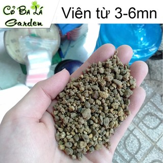 Đá Pumice-Đá Bọt núi lửa (1kg)