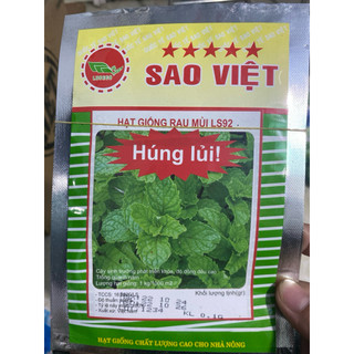 (Mã NSF02P125 giảm 25K) Hạt giống Ngò Gai (Húng bạc hà)