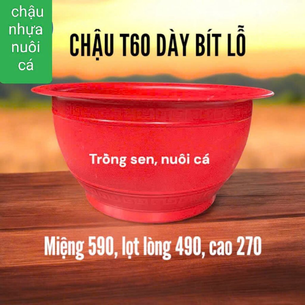 (Siêu  tốc) Chậu Nhựa Nuôi Cá 40 Lít Dày (60cm) /1,7KG Truyền Thống  [Bít lỗ] Trồng  Sen  Cây Sinh N