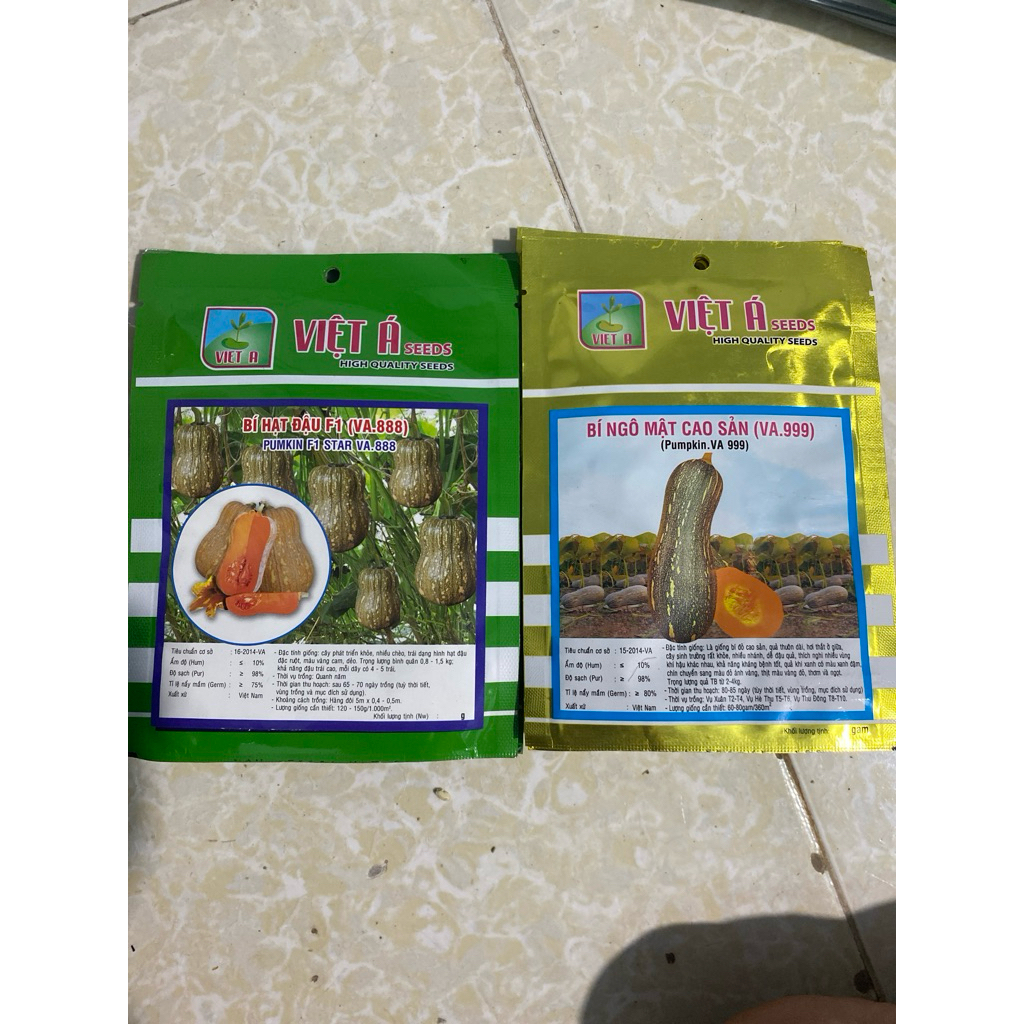 (Mã NSF02P125 giảm 25K) Bí Ngô -HẠT GIỐNG Các loại
