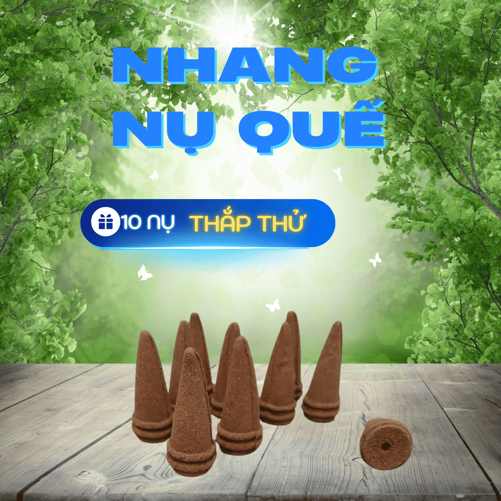 10Nụ Quế Vỏ Thắp Thử ( Mùi Thơm Dịu Nhẹ - An Toàn - Sức Khỏe ) Giúp Thư Giãn Thanh Lọc Không Khí ..!
