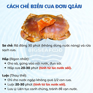 Hoả Tốc - Cua Nâu Siêu Gạch - Bao Ăn 1 Đổi 1