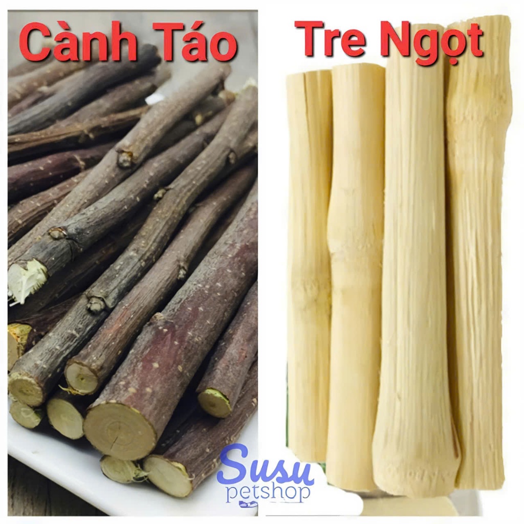 Cành táo/ tre mía ngọt mài răng cho Thỏ, Bọ và Hamster