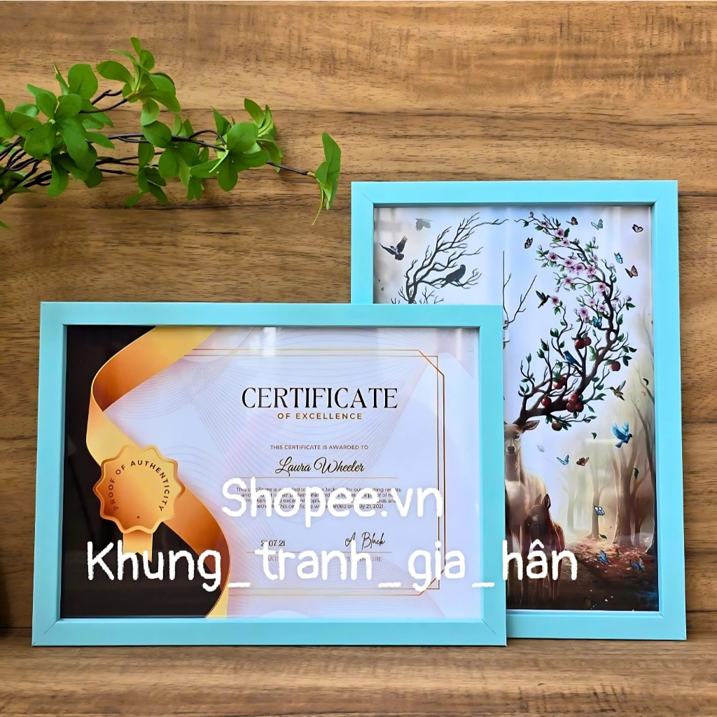 khung bằng khen, A4( 21X30 ), 20X30, khung ảnh, khung hình