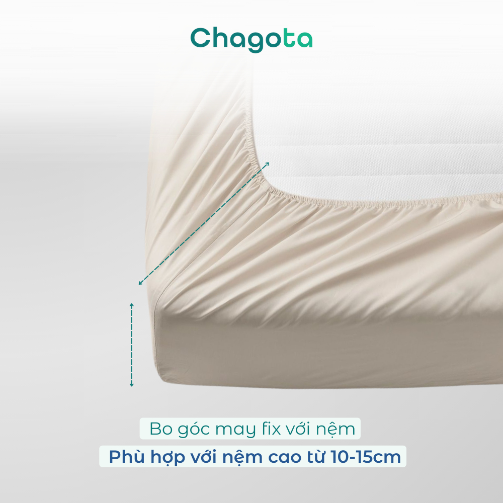 Ga Giường Lụa Silk Ice, Công Nghệ Làm Mát Tức Thì, Bo Chun 4 Góc Chắc Chắn, Thoáng Khí, Kháng Khuẩn 1m2/1m4/1m6/1m8/2m2 | BigBuy360 - bigbuy360.vn