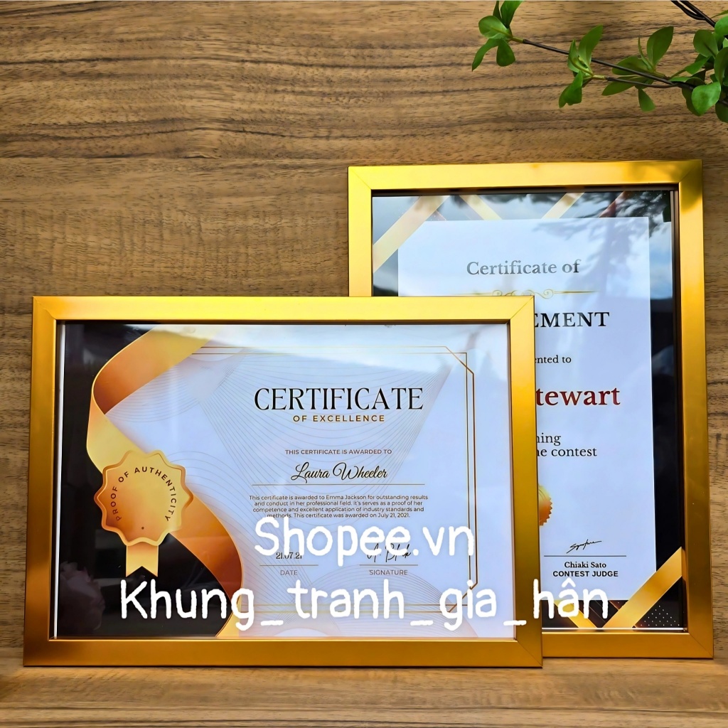khung bằng khen, A4( 21X30 ), 20X30, khung ảnh, khung hình