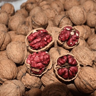 500G NHÂN ÓC CHÓ ĐỎ NHẬP KHẨU MỸ