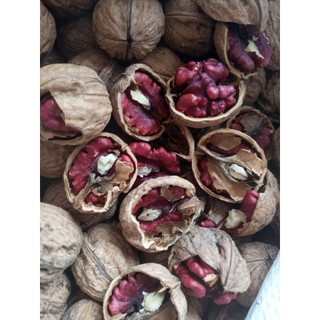 500G NHÂN ÓC CHÓ ĐỎ NHẬP KHẨU MỸ