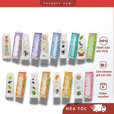 Đồ Chơi DUKA: Mô Hình Vòng Đời Tự Nhiên