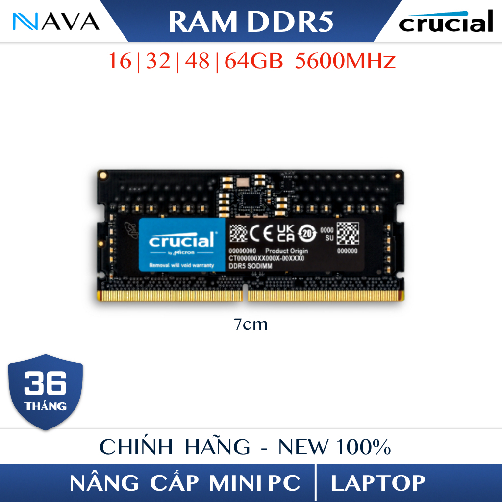 RAM Samsung / Crucial DDR5 5600MHz 16GB / 32GB / 48GB – Nhập Khẩu BH 3 Năm – RAM Laptop, Mini PC | BigBuy360 - bigbuy360.vn