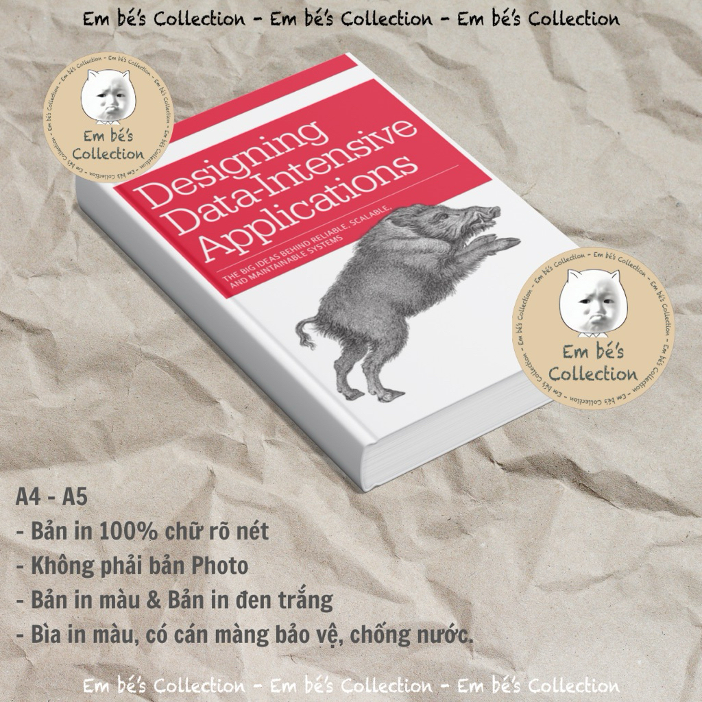 Designing Data Intensive Applications. A4-A5. Bìa in màu cán màng