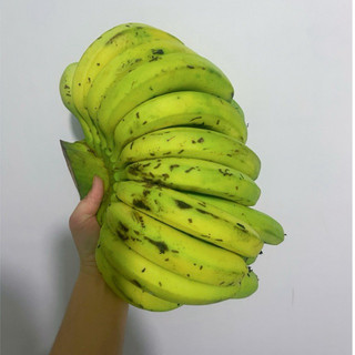 Nải >3kg Chuối Laba Đà Lạt. Hàng lựa [Hoả tốc HCM]
