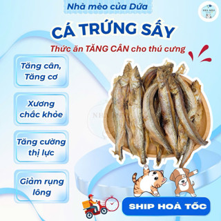  Cá sấy cho chó mèo giảm rụng lông chó mèo thức ăn cho chó mèo Cá trứng sấy đông khô bổ sung Canxi cho chó mèo 