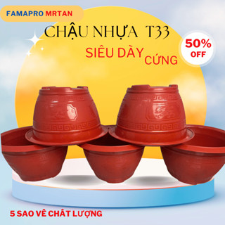  COMBO 10 Cái Chậu Nhựa Trồng Cây T33 Truyền Thống Tuỳ Màu 30 x 17cm NHỰA DẺO SIÊU CỨNG KHÔNG BỂ 